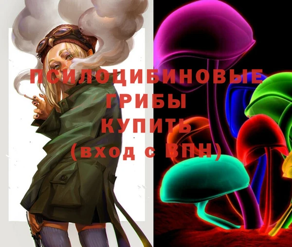 COCAINE Медвежьегорск