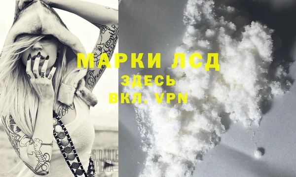 гашик Магас