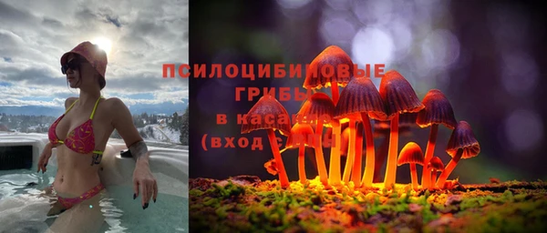 гашик Магас