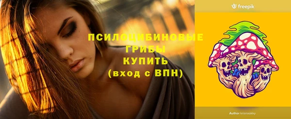 стаф Россошь